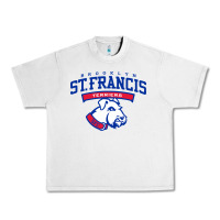 Lunar Rock st. francis brooklyn terriers Urban Heavy Tee - linhVisuals