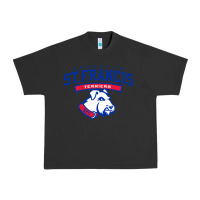 Pigment Black st. francis brooklyn terriers Urban Heavy Tee - linhVisuals
