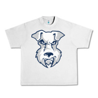 Lunar Rock st. francis brooklyn terriers Urban Heavy Tee - linhVisuals