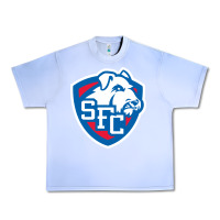 Grape Ice st. francis brooklyn terriers Urban Heavy Tee - linhVisuals