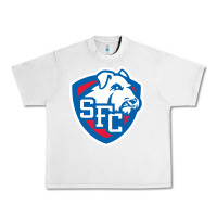 Lunar Rock st. francis brooklyn terriers Urban Heavy Tee - linhVisuals
