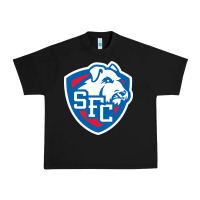 Black st. francis brooklyn terriers Urban Heavy Tee - linhVisuals