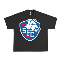 Pigment Black st. francis brooklyn terriers Urban Heavy Tee - linhVisuals