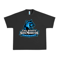 Pigment Black The cal state san marcos cougars Urban Heavy Tee - linhVisuals