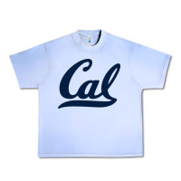 Grape Ice california Urban Heavy Tee - linhVisuals