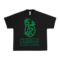 Black ul  university of limerick Urban Heavy Tee - linhVisuals