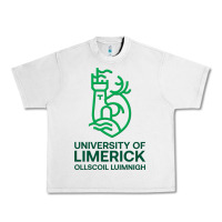 Lunar Rock ul  university of limerick Urban Heavy Tee - linhVisuals