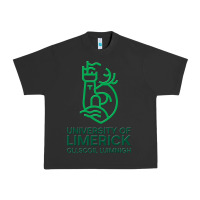 Pigment Black ul  university of limerick Urban Heavy Tee - linhVisuals