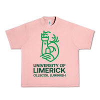 Salmon ul  university of limerick Urban Heavy Tee - linhVisuals