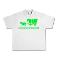 Lunar Rock you have died of dysentery oregon trail Urban Heavy Tee - linhVisuals