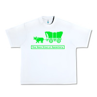 White you have died of dysentery oregon trail Urban Heavy Tee - linhVisuals
