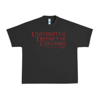 Pigment Black University of the District of Columbia Urban Heavy Tee - linhVisuals