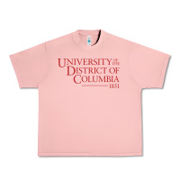 Salmon University of the District of Columbia Urban Heavy Tee - linhVisuals