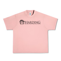 Salmon Harding University Urban Heavy Tee - linhVisuals