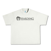 Pistachio Harding University Urban Heavy Tee - linhVisuals