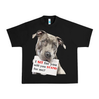 Black pitbull t  shirt i sit for you will you stand for me t  shirt Urban Heavy Tee - linhVisuals