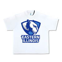 Eastern Illinois Panthers Urban Heavy Tee | Teevron