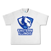 Lunar Rock eastern illinois panthers Urban Heavy Tee - linhVisuals