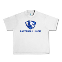 Lunar Rock eastern illinois panthers Urban Heavy Tee - linhVisuals