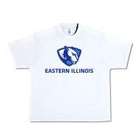 Eastern Illinois Panthers Urban Heavy Tee | Teevron