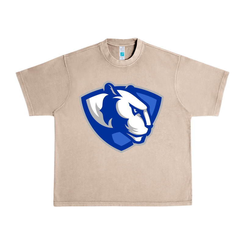 Eastern Illinois Panthers Urban Heavy Tee by linhVisuals | Teevron