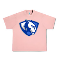 Salmon eastern illinois panthers Urban Heavy Tee - linhVisuals