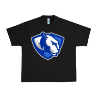 Black eastern illinois panthers Urban Heavy Tee - linhVisuals