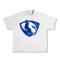Lunar Rock eastern illinois panthers Urban Heavy Tee - linhVisuals