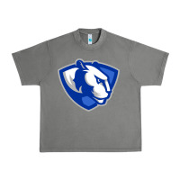 Tornado eastern illinois panthers Urban Heavy Tee - linhVisuals