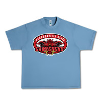 Pebble Blue jacksonville state gamecocks Urban Heavy Tee - linhVisuals