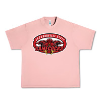 Salmon jacksonville state gamecocks Urban Heavy Tee - linhVisuals