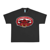 Pigment Black jacksonville state gamecocks Urban Heavy Tee - linhVisuals