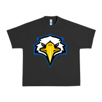 Pigment Black morehead state eagles Urban Heavy Tee - linhVisuals