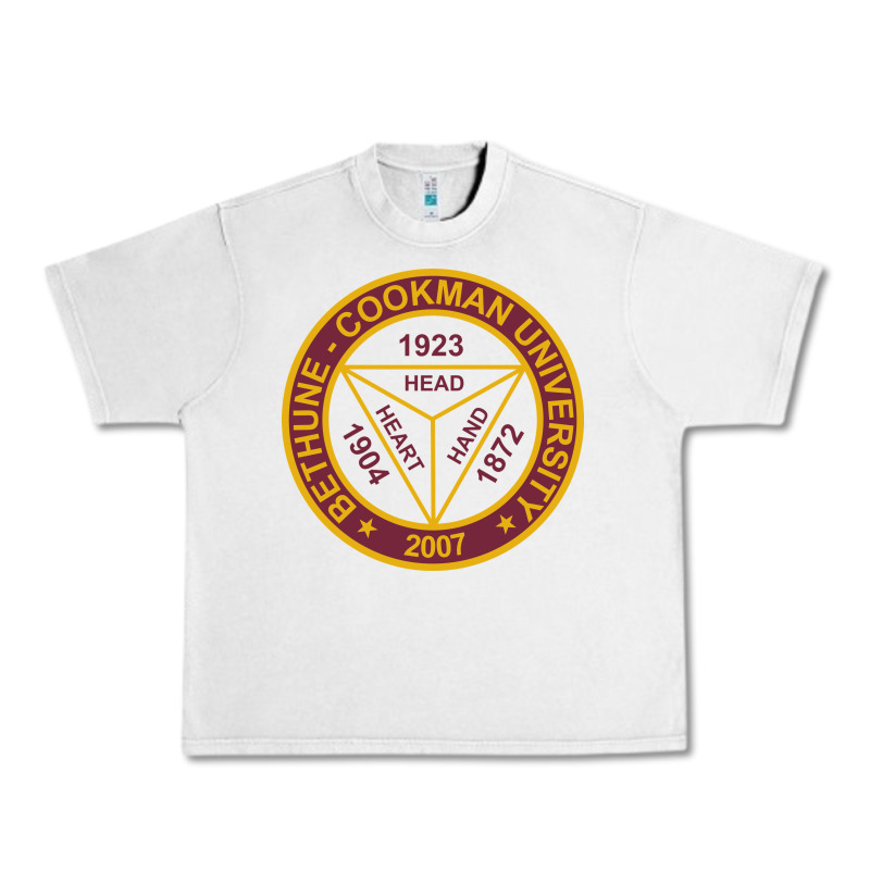 Bethune Cookman Urban Heavy Tee by linhVisuals | Teevron
