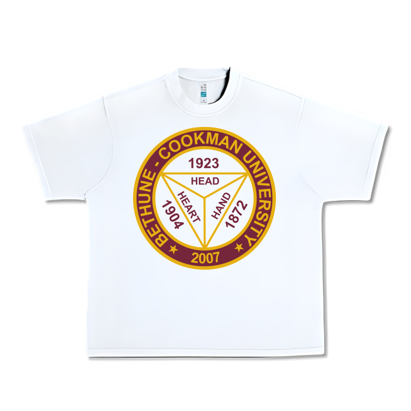 Bethune Cookman Urban Heavy Tee by linhVisuals | Teevron