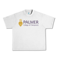 Lunar Rock college of chiropractic Urban Heavy Tee - linhVisuals