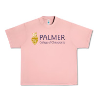 Salmon college of chiropractic Urban Heavy Tee - linhVisuals