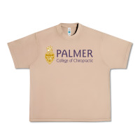 Burro college of chiropractic Urban Heavy Tee - linhVisuals