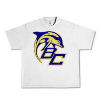 Lunar Rock battery creek high school, beaufort Urban Heavy Tee - linhVisuals