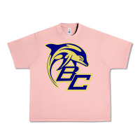 Salmon battery creek high school, beaufort Urban Heavy Tee - linhVisuals
