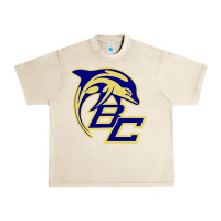 Sandshell battery creek high school, beaufort Urban Heavy Tee - linhVisuals