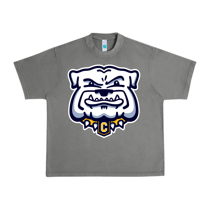 Chelse Bulldogs Urban Heavy Tee by linhVisuals | Teevron