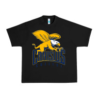 Black canisius golden griffins Urban Heavy Tee - linhVisuals