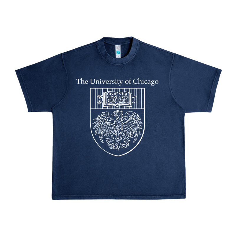 Chicago Urban Heavy Tee by linhVisuals | Teevron