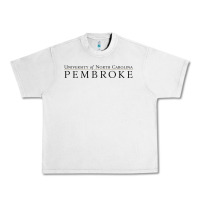 Lunar Rock University of North Carolin Pembroke Urban Heavy Tee - linhVisuals