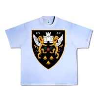 Grape Ice the-northampton-saints-pen Urban Heavy Tee - linhVisuals