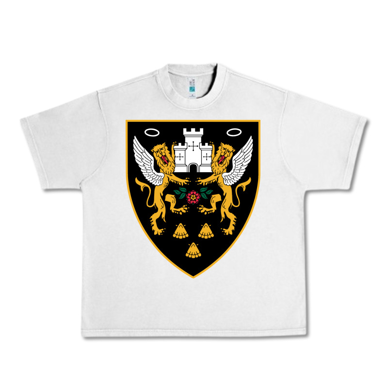 The-northampton-saints-pen Urban Heavy Tee by linhVisuals | Teevron
