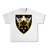 Lunar Rock the-northampton-saints-pen Urban Heavy Tee - linhVisuals