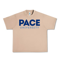 Burro Pace University Urban Heavy Tee - linhVisuals