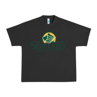 Pigment Black Saint Leo University Urban Heavy Tee - linhVisuals